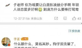 圈内爆料白鹿张凌赫视频,甜蜜互动引网友热议