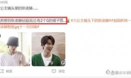 圈内爆料白鹿张凌赫视频,甜蜜互动引网友热议